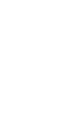 Vector