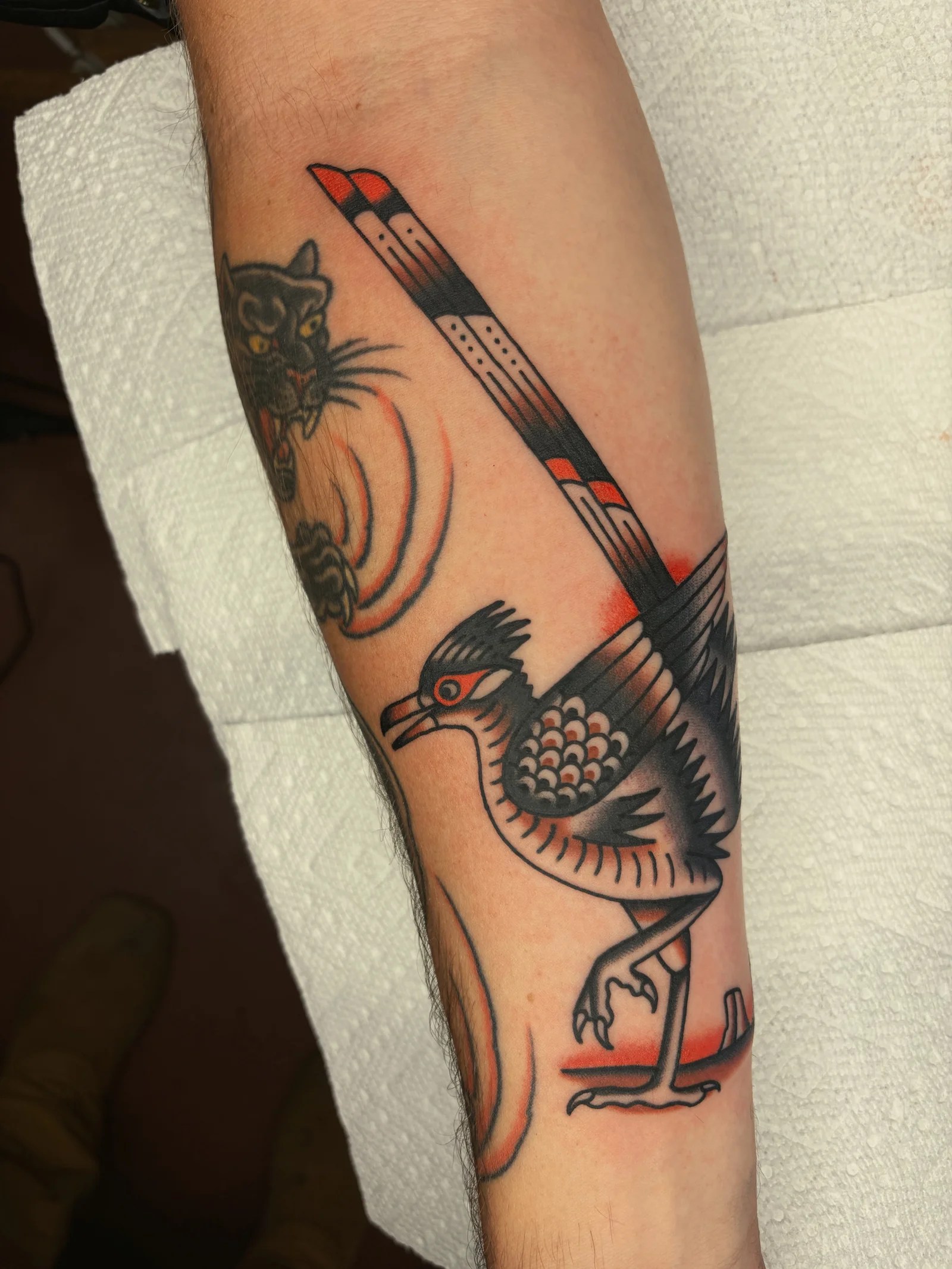 Roadrunner tattoo designed and tattooed by Zane Watrous