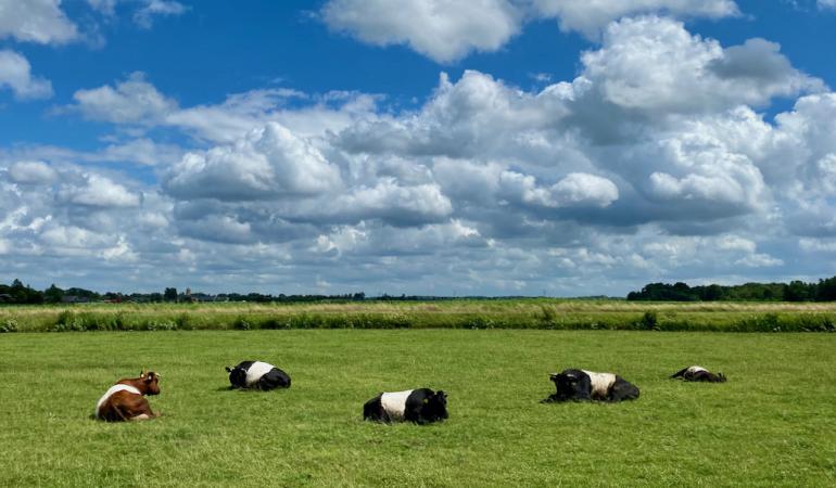 Technische briefing 24/9/2025 over ‘Nederland van het slot’: veel woorden, weinig richting. Erg voorzichtig en geen pragmatisme.