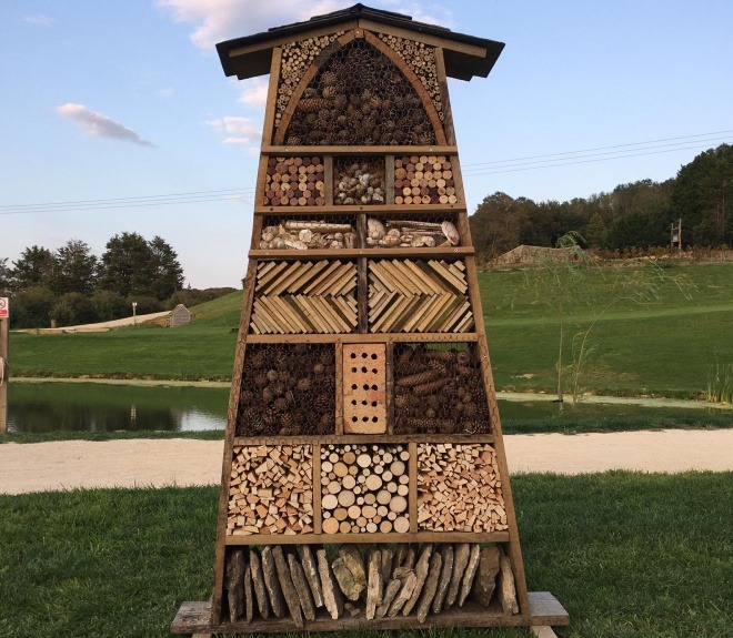 Bug Hotel
