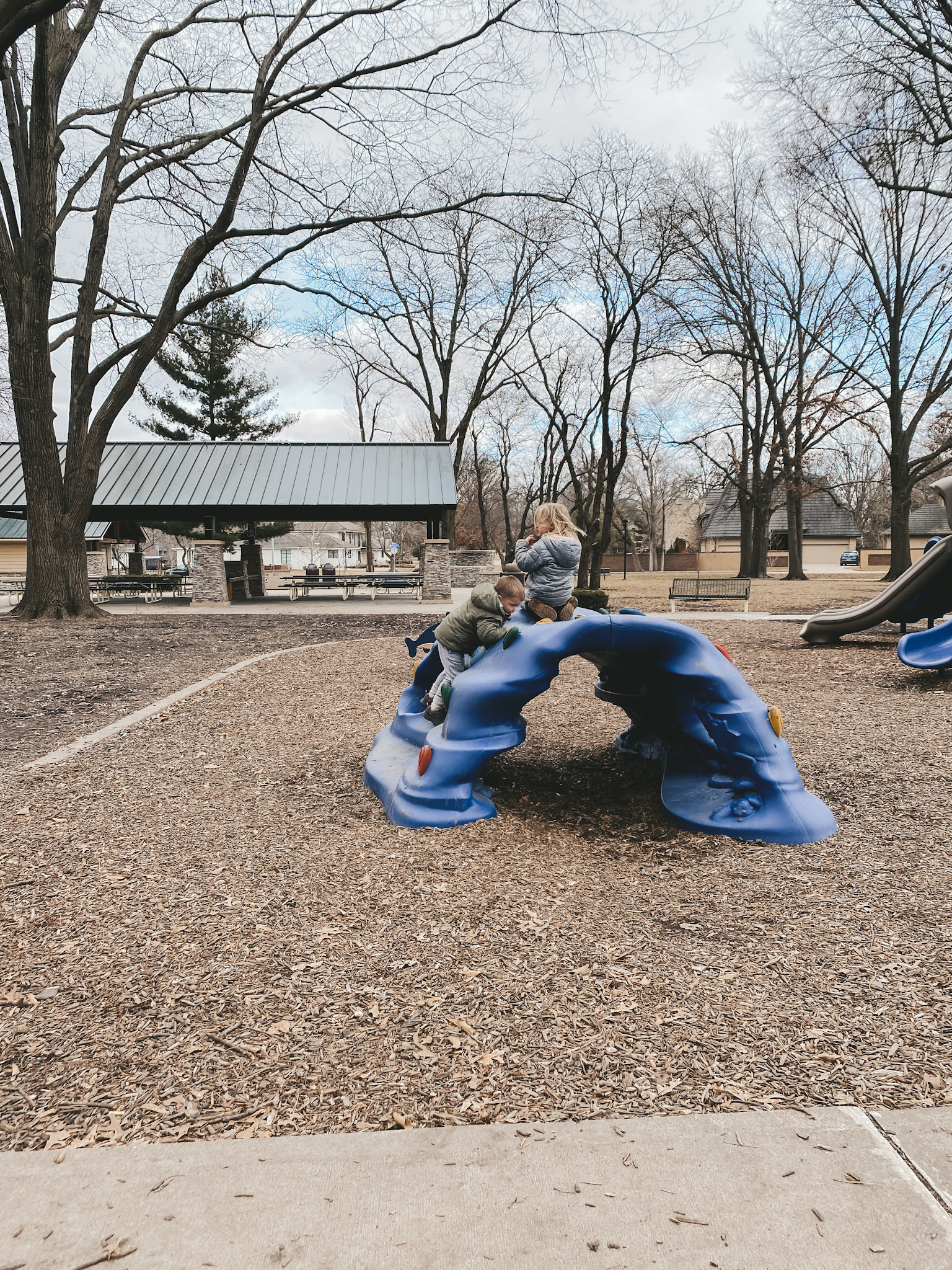 kids playing on structure at park