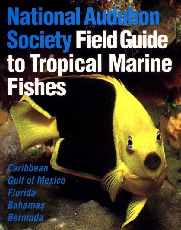 field-guide-fish-identification