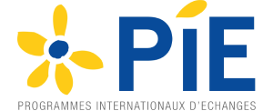 pie logo