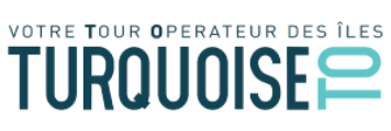 Turquoise TO logo