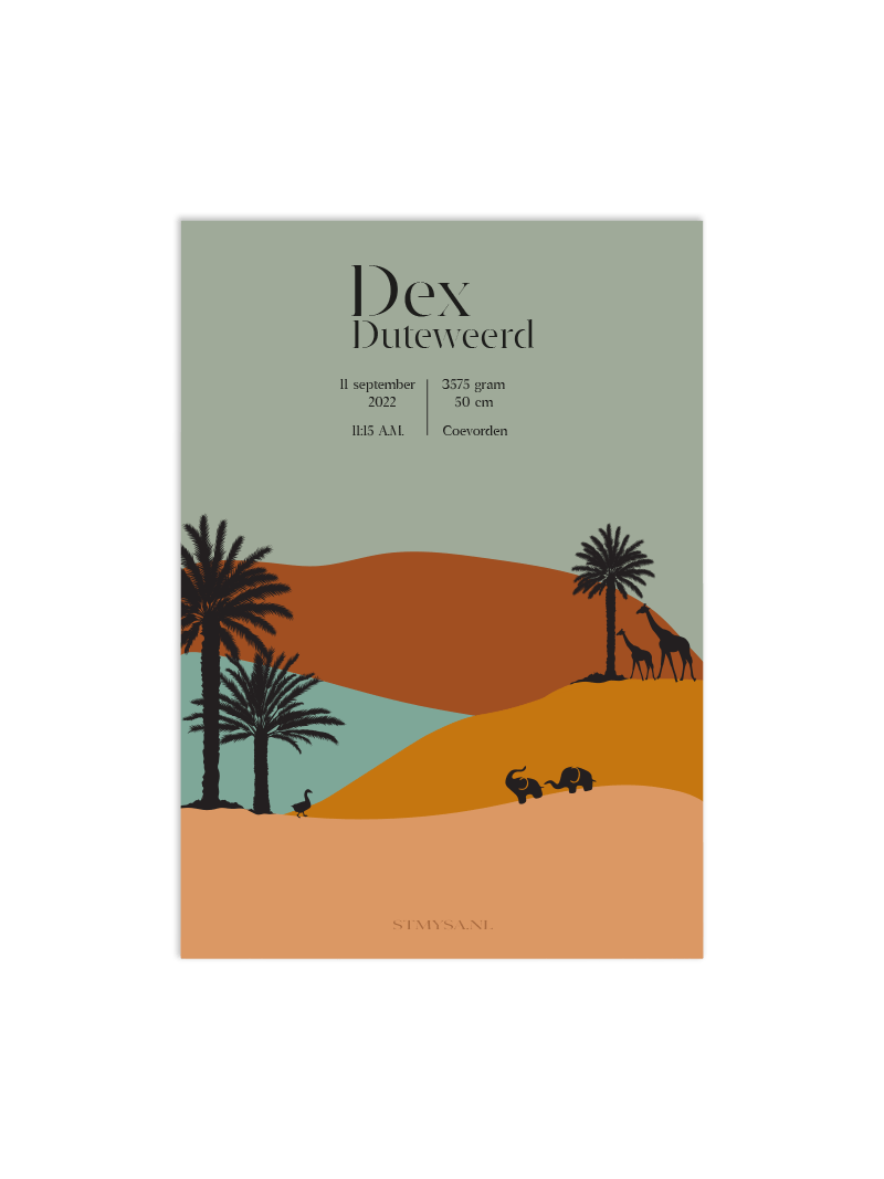 Geboorteposter Dex