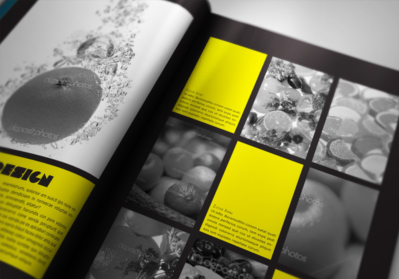 Portfolio Book Presenter