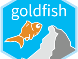 Statistical Network Models For Dynamic Network Data Goldfish