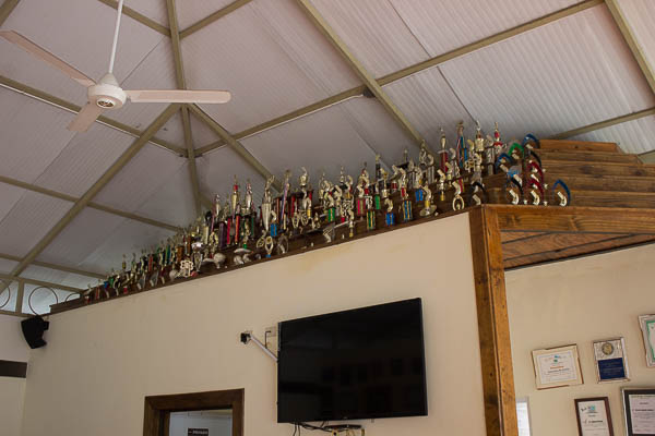 Radhames Rodriguez Sr,