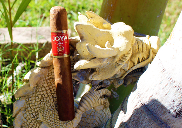 極美品！Joya ダイナモクラシック ダークレッド ジョヤ ジョーヤ 23.5 Dynamo Zip W DarkRed 膝、腰に驚くほどやさしい やわらかい履き心地の