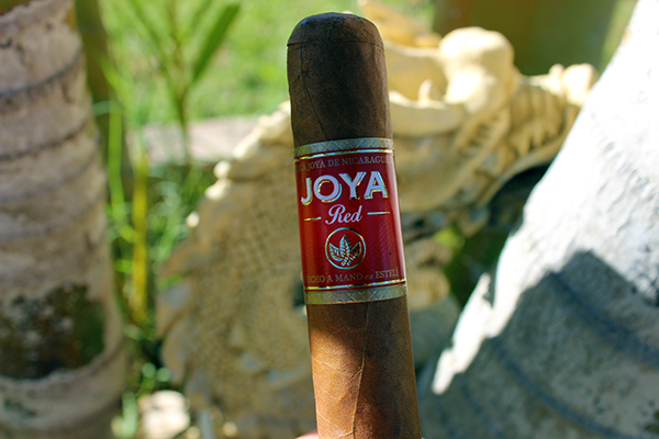 極美品！Joya ダイナモクラシック ダークレッド ジョヤ ジョーヤ 23.5 Dynamo Zip W DarkRed 膝、腰に驚くほどやさしい やわらかい履き心地の