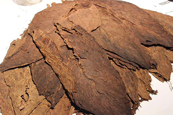 General Cigars Inspirado Event