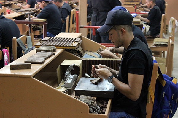 Yayabo Cigar Rolling