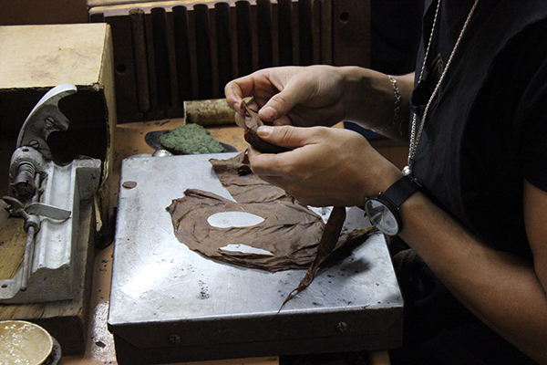 Yayabo Cigar Rolling