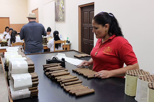 Yayabo Cigar Rolling