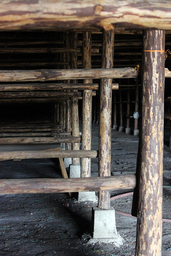 Yayabo Curing Barn