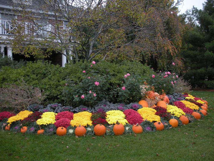 Landscape ideas for fall
