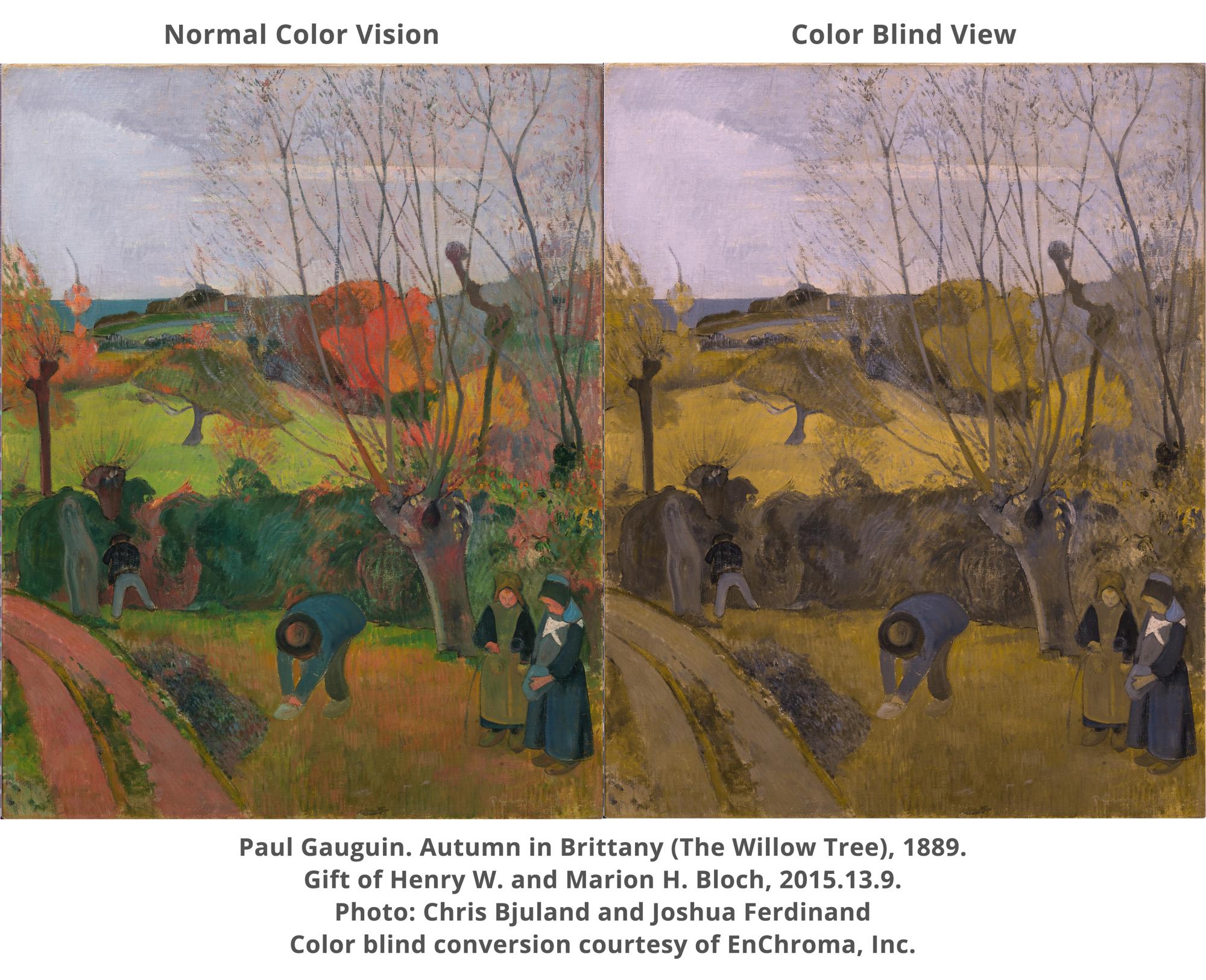 Enchroma Glasses Enable Color Blind Visitors To Experience Nelson Atkins Museum Of Art In Vibrant Color