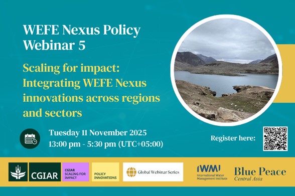 Scaling WEFE Nexus Innovations: Transforming Agrifood Systems Across Borders (2025)