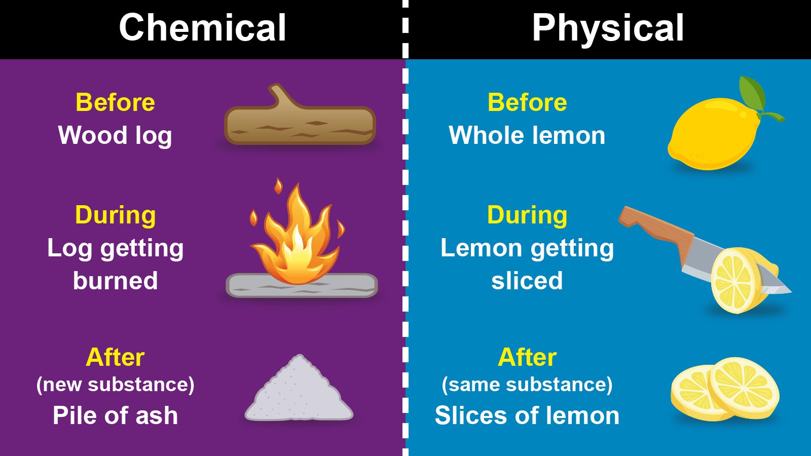 Main difference between a chemical and physical change