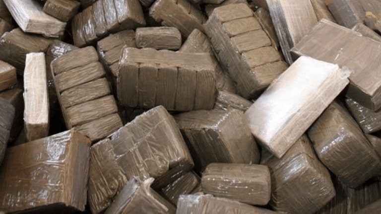 Drogue-1.jpg