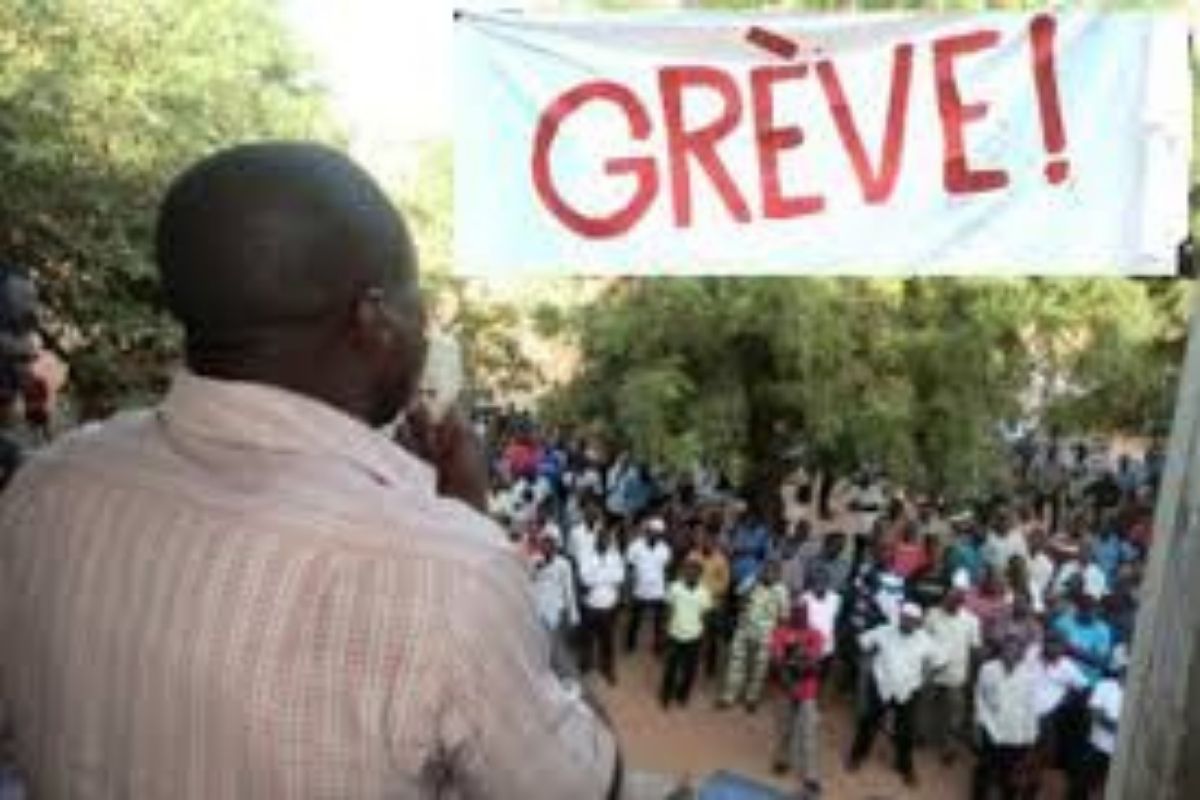 Greve.jpg