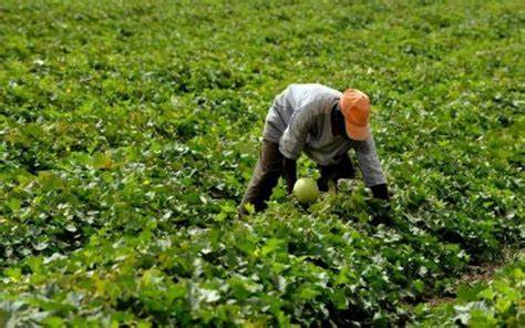 AGRI.jpg