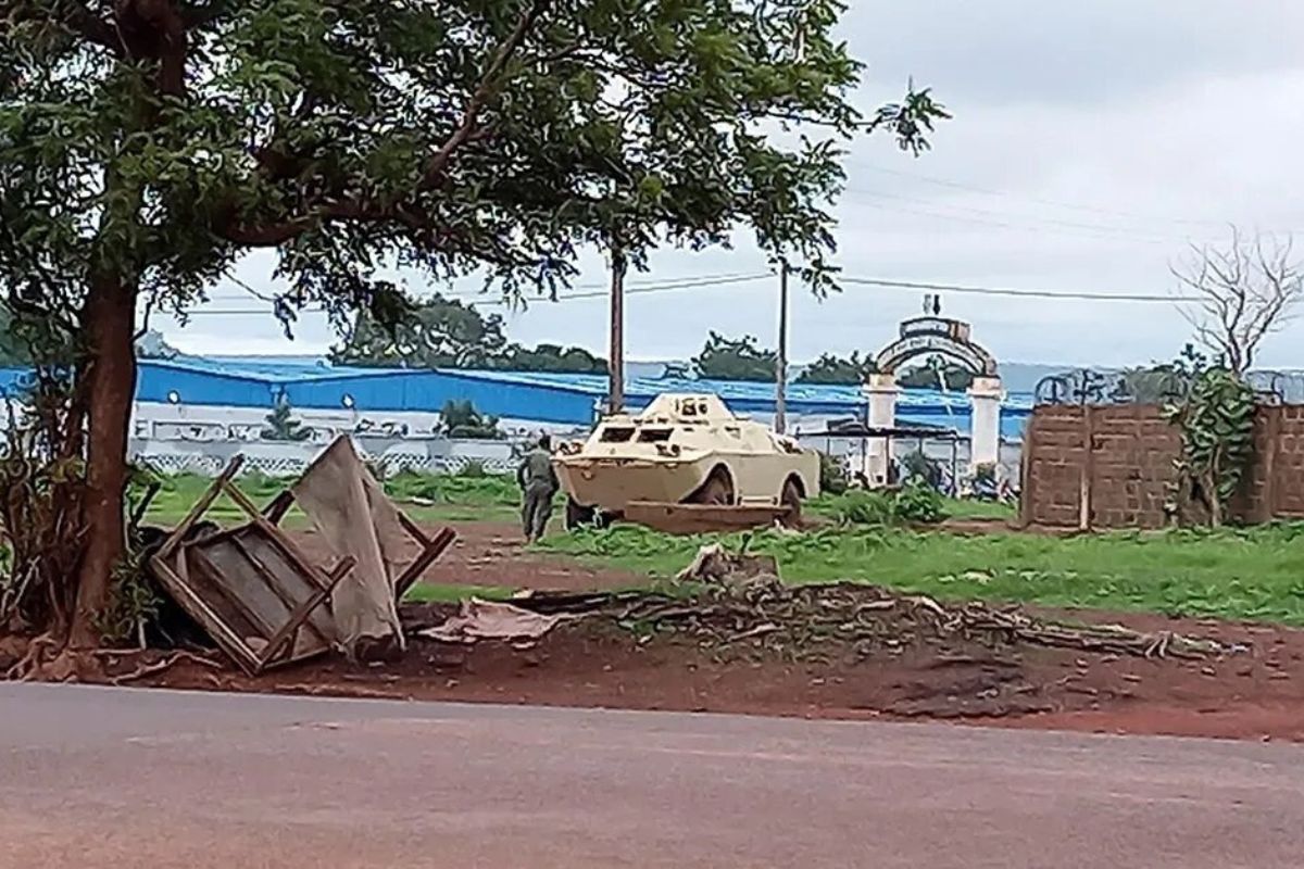Kati-2.jpg