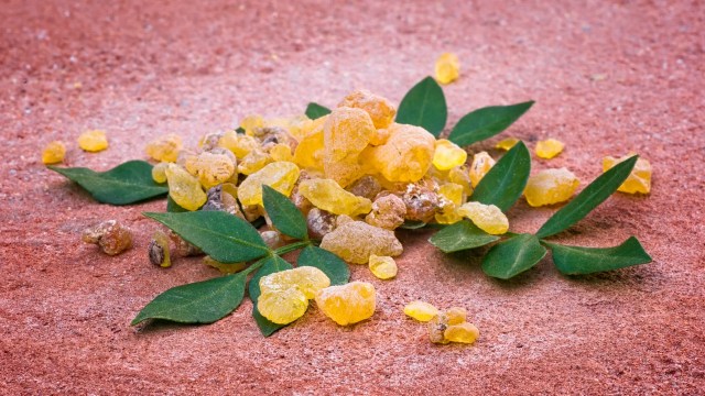 boswellia-serratia 