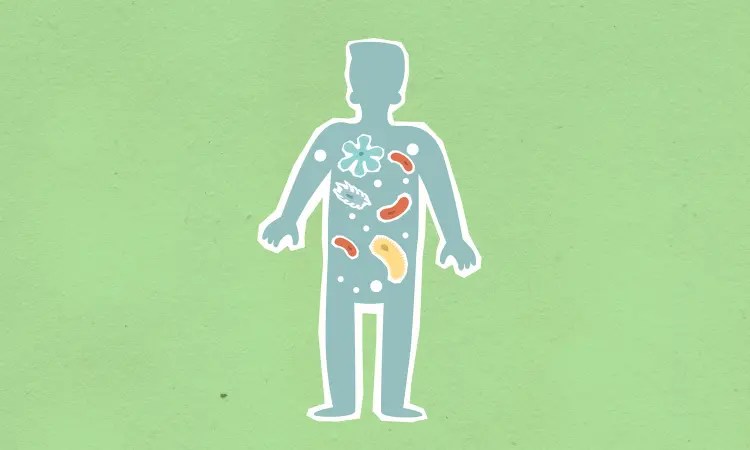 sibo-gut-bacteria-microbiome