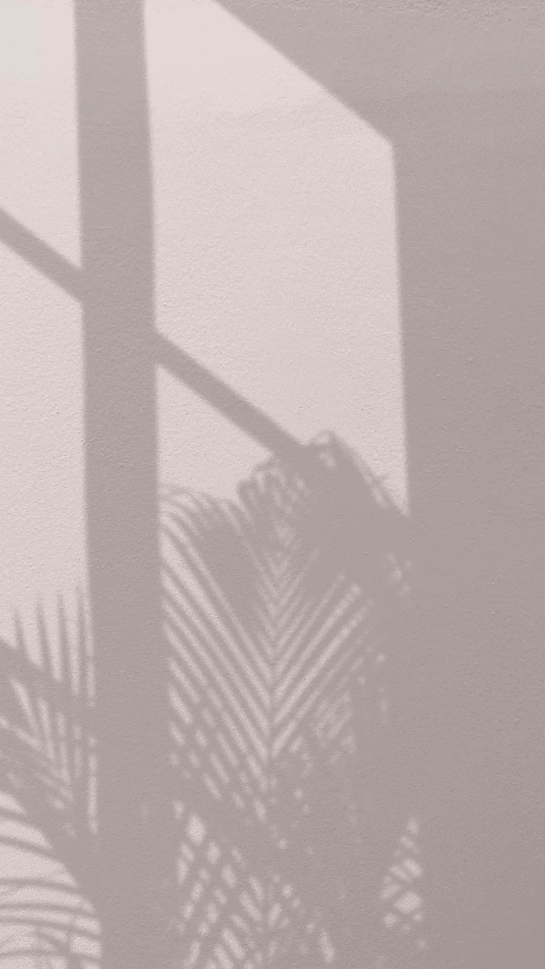 vanessarhd onlyfans (niltoylie) | Mezink