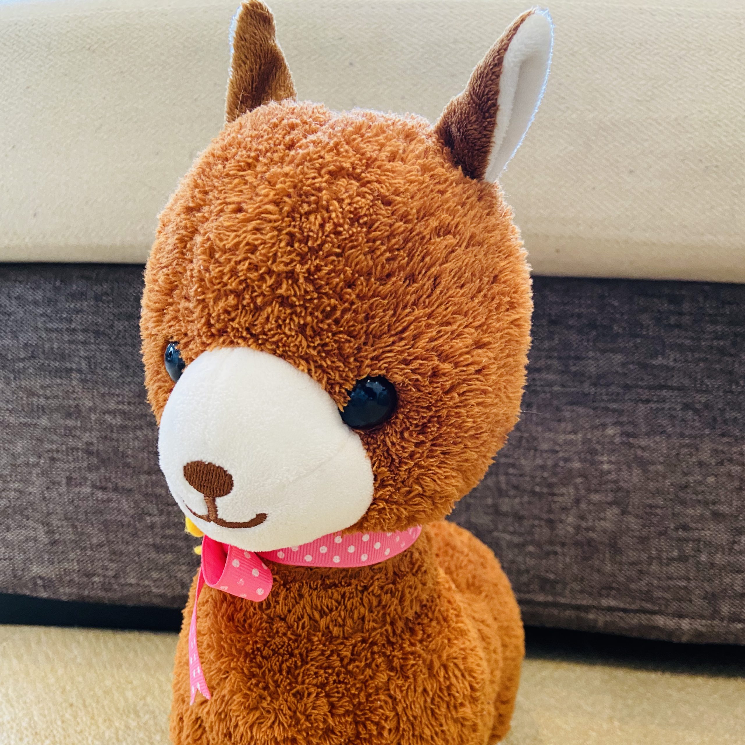 アルパカのるぱちゃん