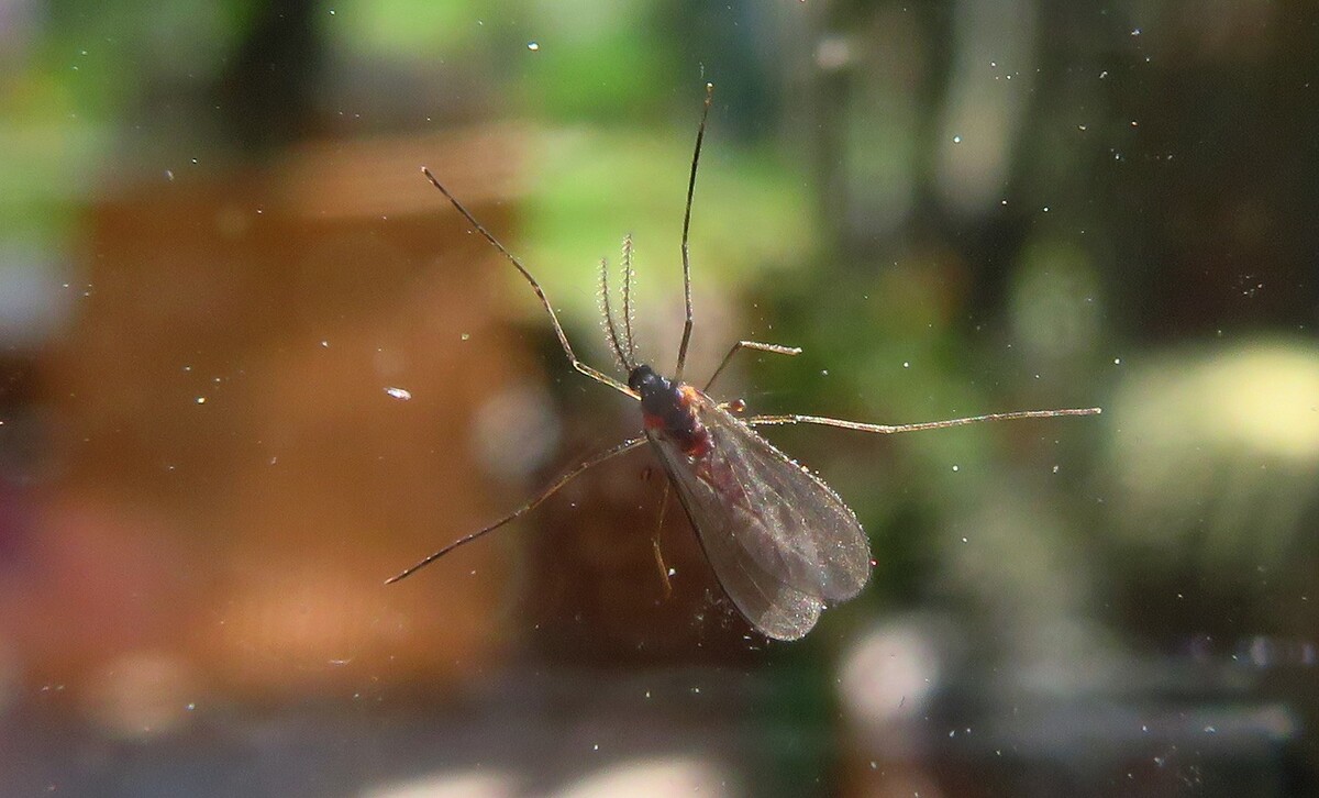 Le Jardin Naturel De La Reunion Home Facebook