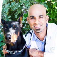 peninsula pet hospital - overview news competitors zoominfocom on peninsula pet hospital menlo park ca