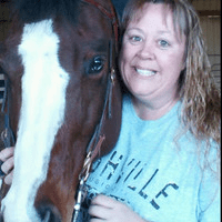 abbey pet hospital - overview news competitors zoominfocom on abby pet hospital el cerrito california