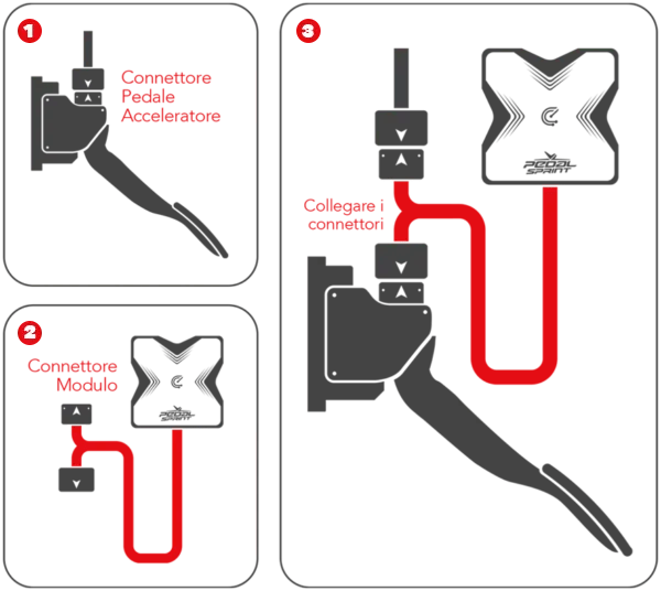 schema di montaggio centralina pedal sprint