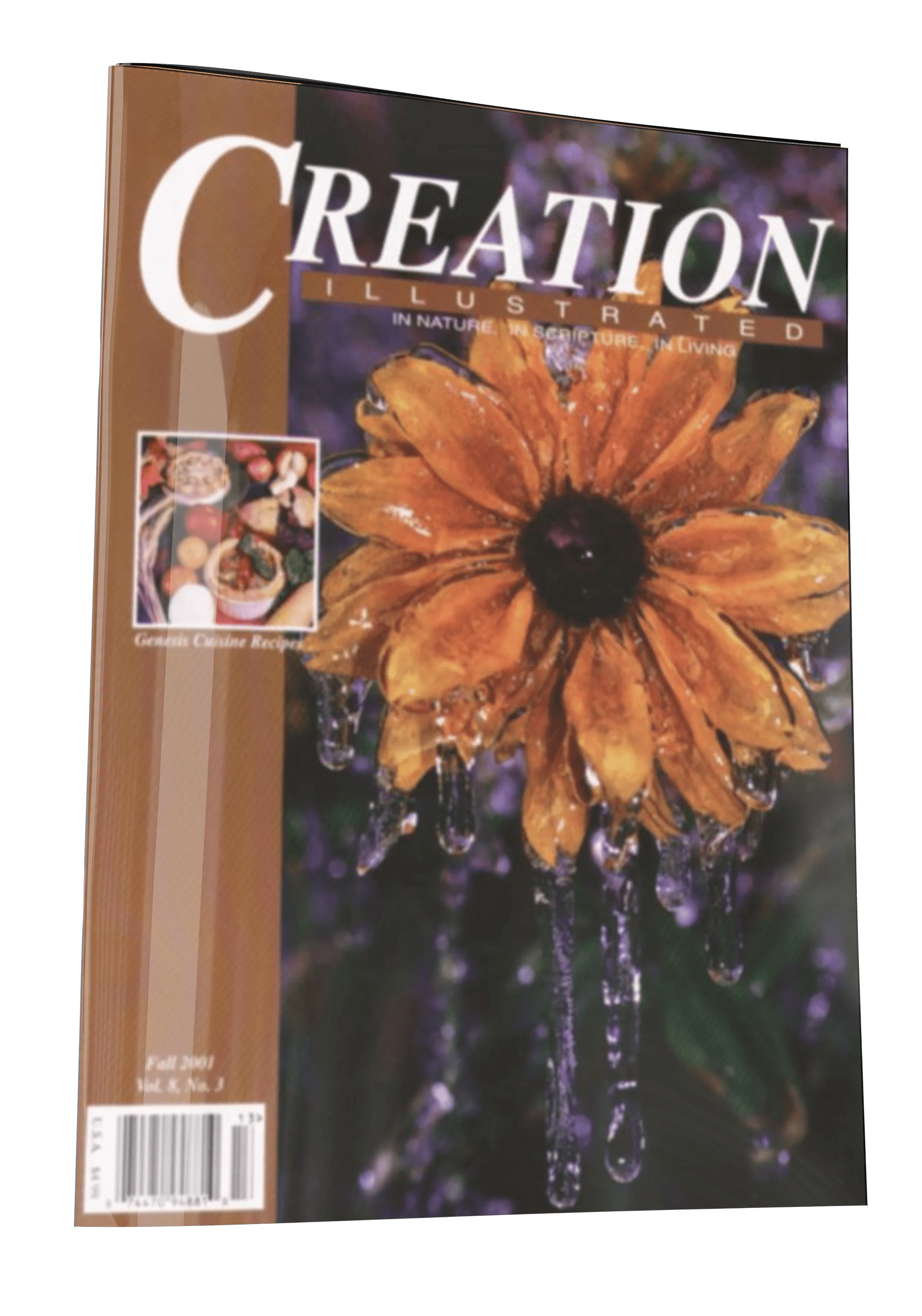 Fall 2001 - Premium Mountain Background Gallery - 4K