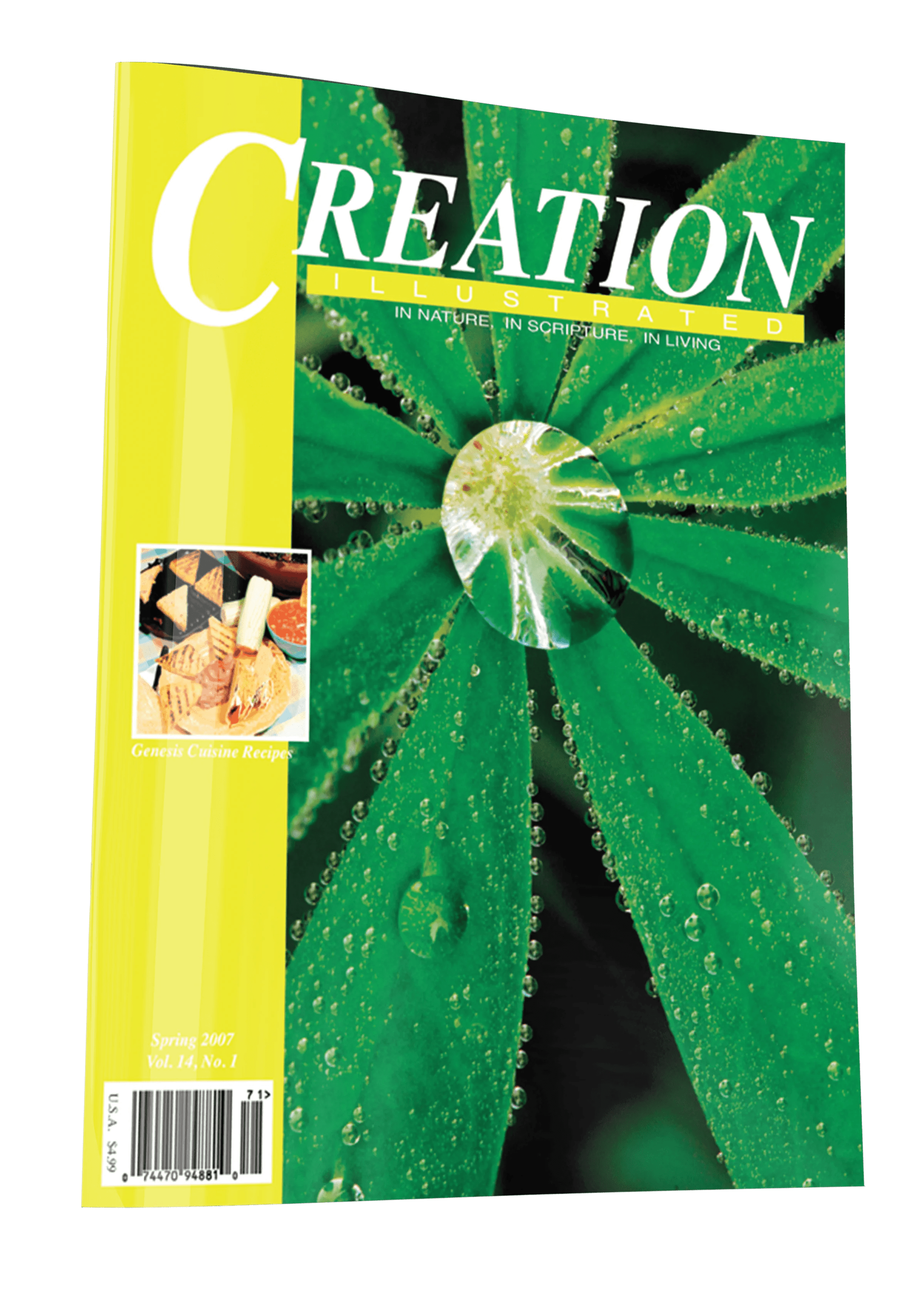 Library Spring 2007 - HD Vintage Illustrations for Desktop