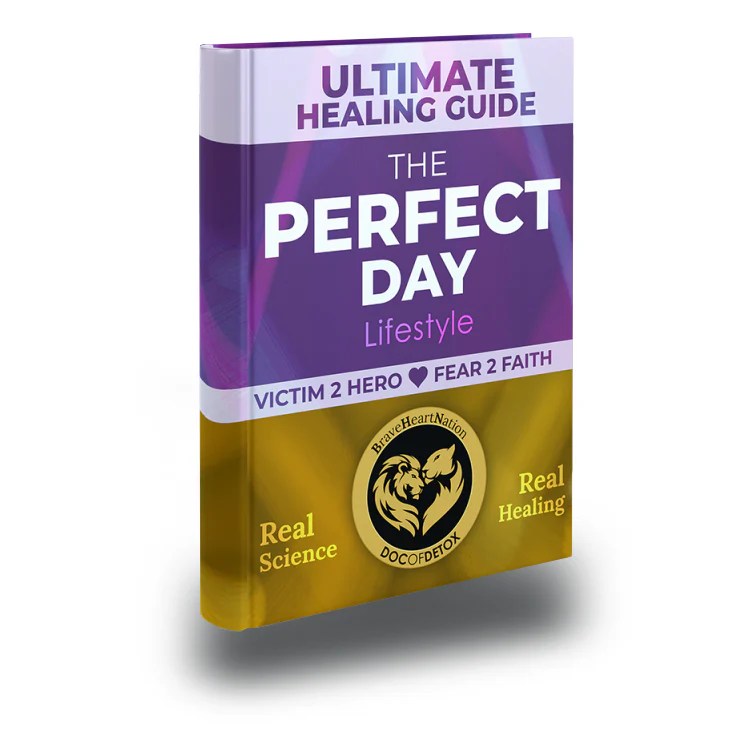 Ultimate Healing Guide The Perfect Day Lifestyle Printed Doc Of Detox