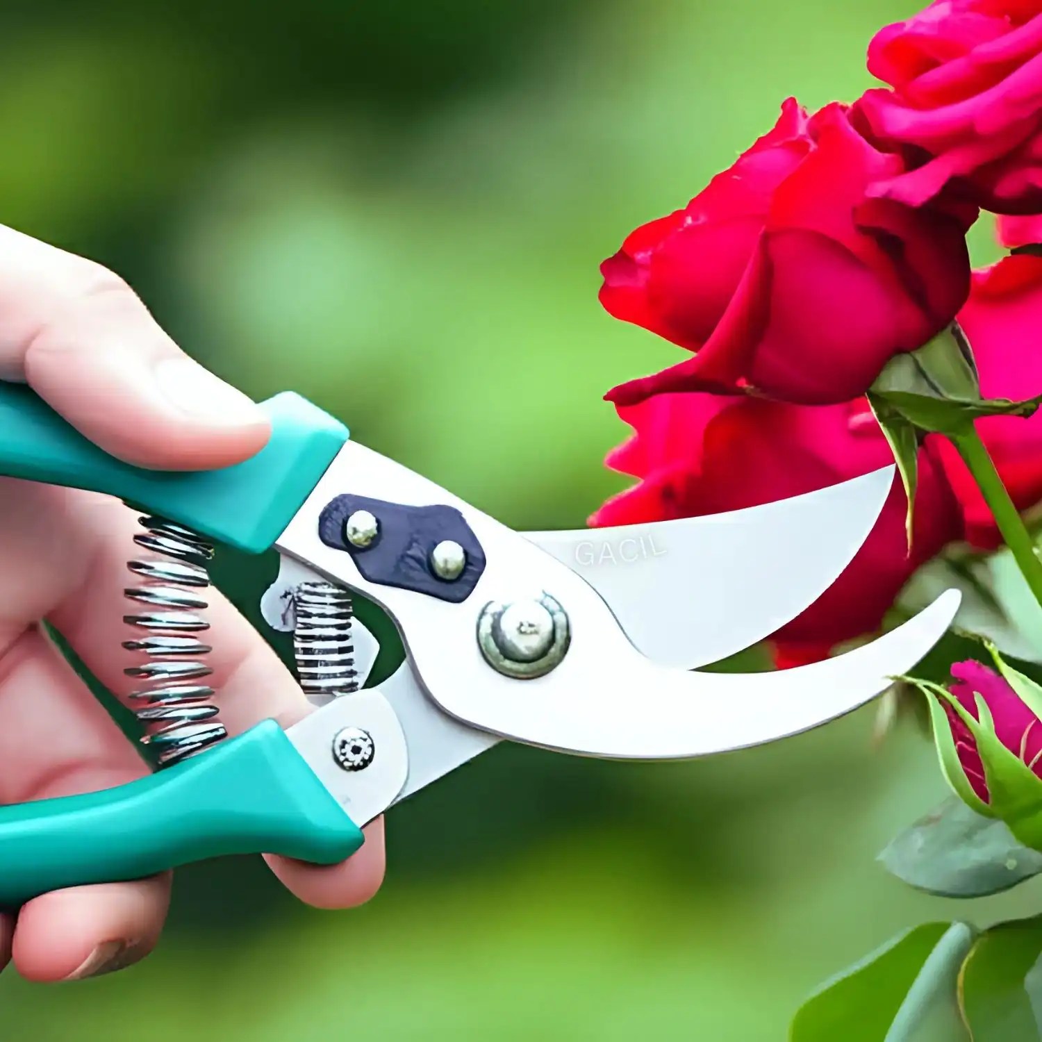 Gardening Pruner