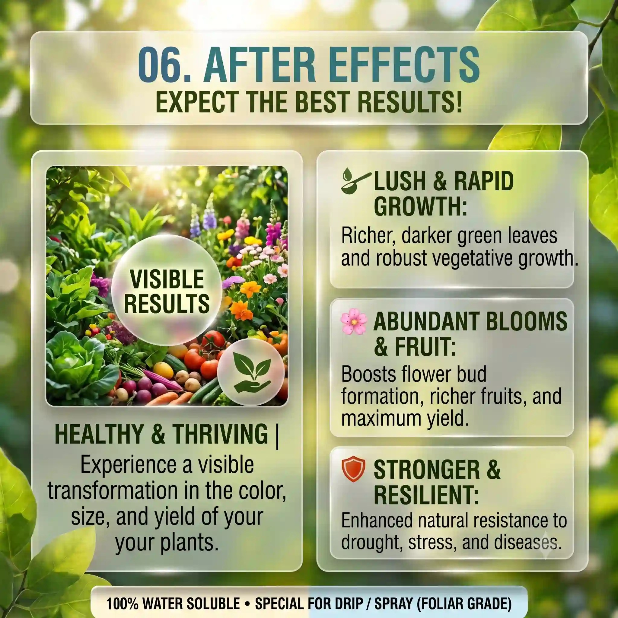 NPK 202020 Fertilizer after effect
