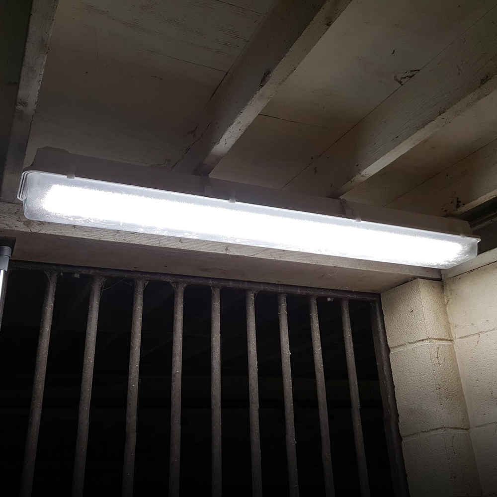 A practical use for shetland ponies T8 LED Lighting | RAMM Horse Fencing & Stalls