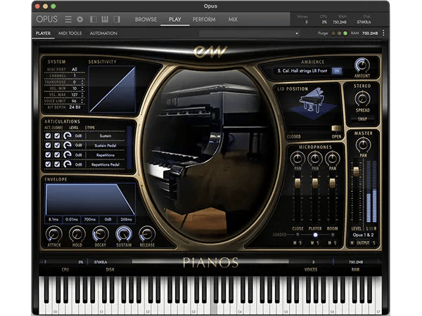 Steinway D Platinum