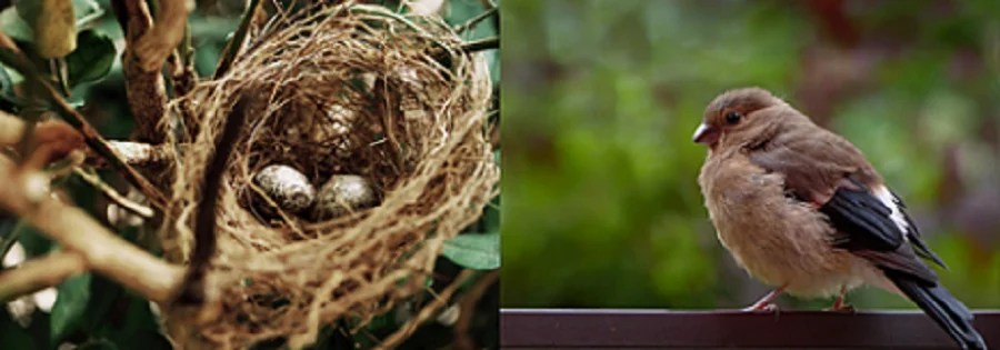 Grace of God: A Unique Motivational Story 2023