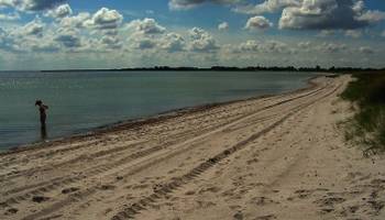 Brøndby strand contains a large housing project, in which 8,000 of the suburb's 11,000 inhabitants live. Brondby Strand Strandguide Dk