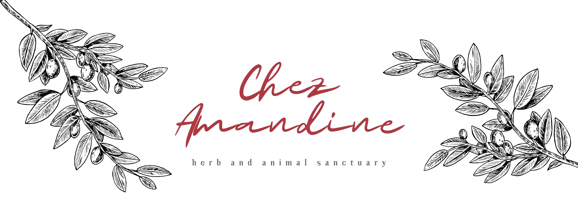 logo image for Chez Amandine
