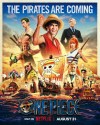One Piece poster