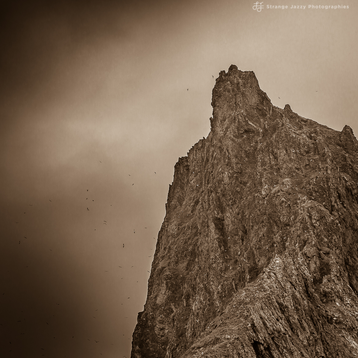 _SRC5986 © Strange Jazzy Photographies