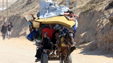 Photo of مصر تبحث مع الولايات المتحدة خطة ترمب لوقف الحرب في غزة وتؤكد على حل الدولتين