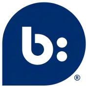 Bazaarvoice logo — B2B SaaS client of Strativera