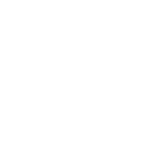 google partner